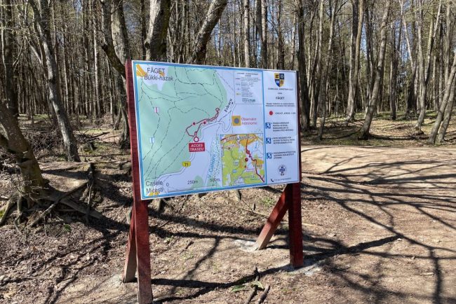 Clujenii cu dizabilitati de mobilitate pot in sfarsit sa se bucure de plimbari in Faget Primul traseu din regiune dedicat persoanelor in scaun cu rotile