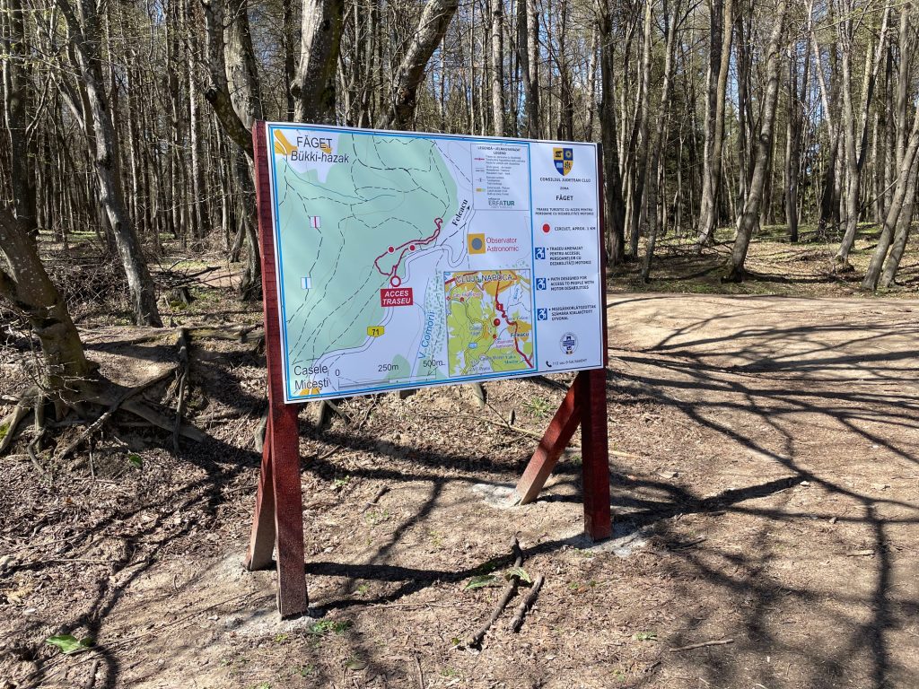 Clujenii cu dizabilitati de mobilitate pot in sfarsit sa se bucure de plimbari in Faget Primul traseu din regiune dedicat persoanelor in scaun cu rotile