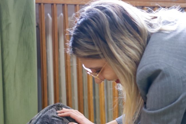 Pisica grav abuzata adoptata de Ministerul Mediului Acest gest reflecta responsabilitatea si puterea exemplului Leia poarta o poveste trista