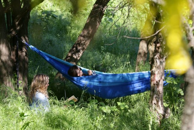 Scoala care aduce profit Cum poti castiga ca elev mii de euro participand la un concurs despre natura