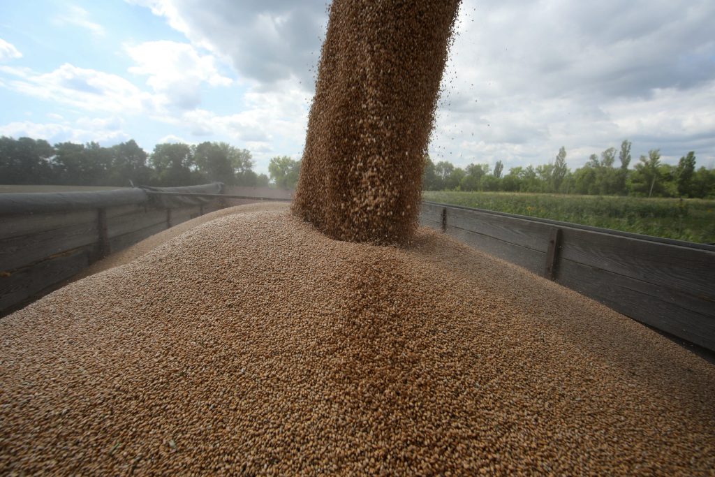 Ucraina acuza Rusia de exportul cerealelor furate in diverse tari si anunta un raspuns diplomatic