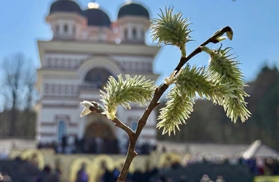 mesaj de la ipj cluj inalte de paste o secunda de atentie poate schimba totul ce solicitari are ipj pentru clujeni in aceasta perioada