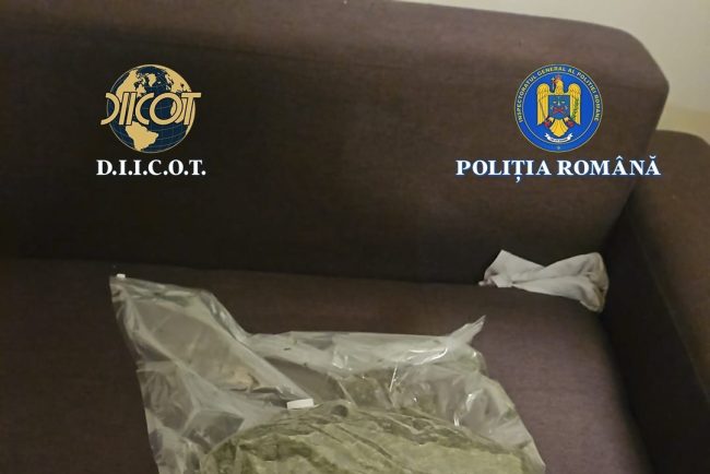 Aproape 3 kilograme de cannabis descoperite de anchetatori in Bistrita Nasaud doi tineri arestati preventiv
