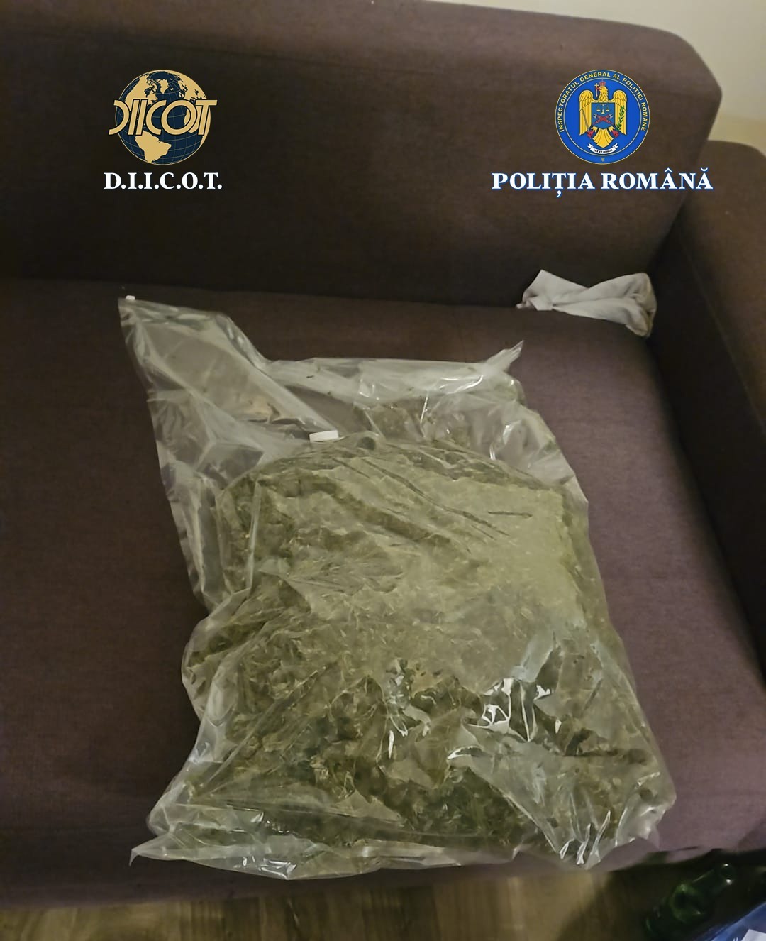 Aproape 3 kilograme de cannabis descoperite de anchetatori in Bistrita Nasaud doi tineri arestati preventiv