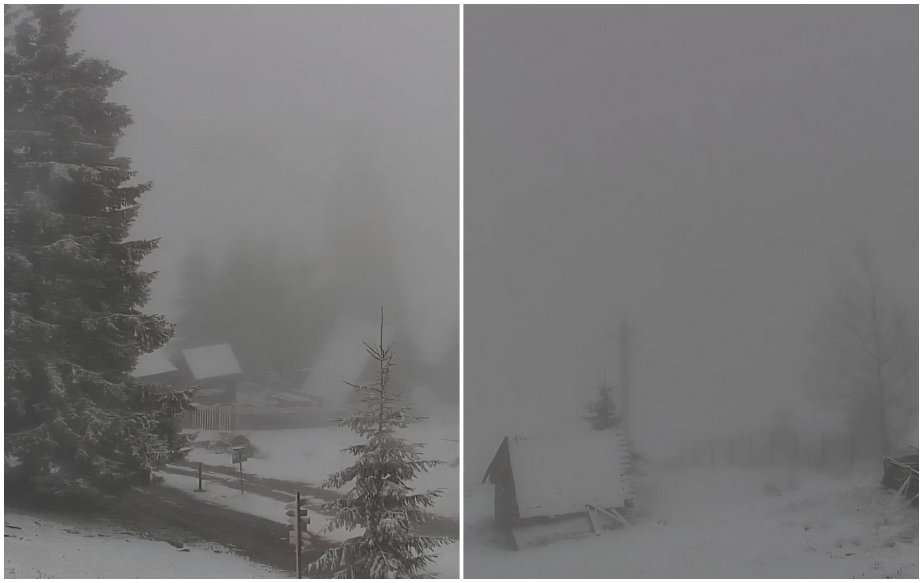 Clujenii se confrunta cu zapada si in mijlocul lunii mai Hai afara la zapada Hai Aceasta va fi ultima pe sezonul acesta Imagini spectaculoase