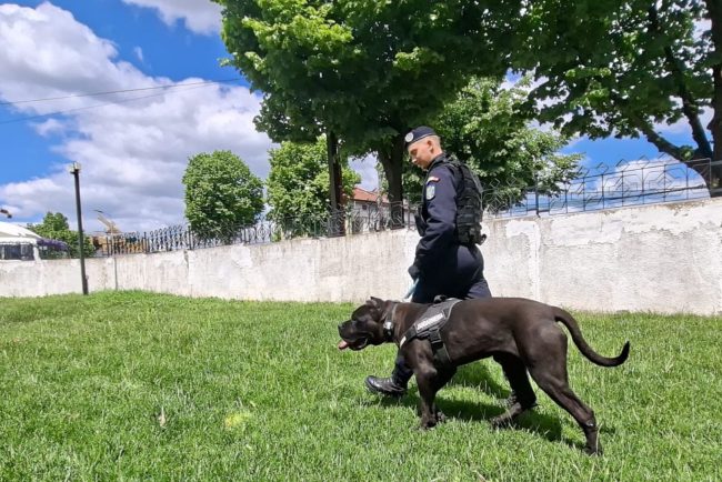 Jandarmii din Tulcea au un nou coleg blanos Ben se pregateste pentru misiuni