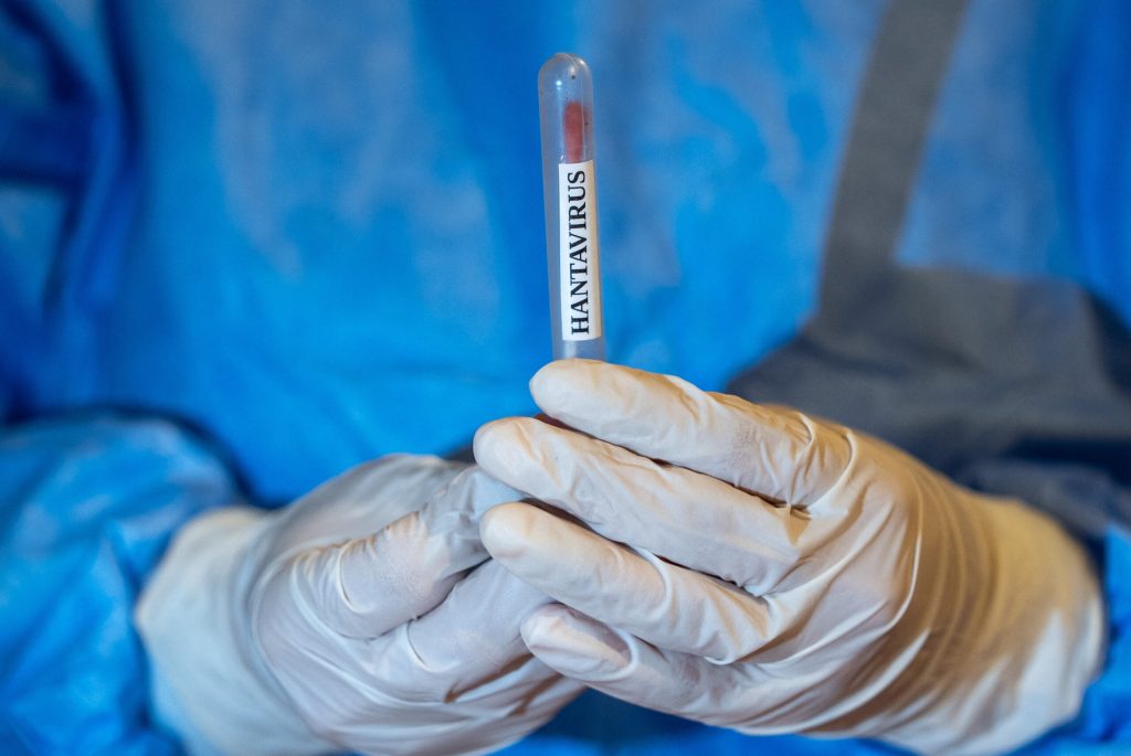 Presa ungara ingrijorata de situatia din Romania Hantavirusul a atins granita