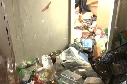 Situatie socanta intr un bloc din Cluj Locatarii cer ajutor urgent dupa ce un apartament a devenit un focar de infectie insuportabil