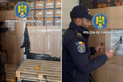 Tigari de contrabanda in valoare de 2 milioane de euro ascunse printre lazi de portocale Un roman a fost