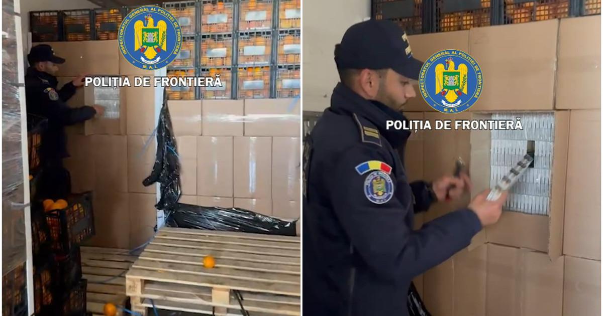 Tigari de contrabanda in valoare de 2 milioane de euro ascunse printre lazi de portocale Un roman a fost