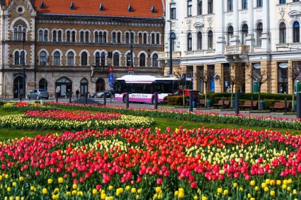 Transport special de 1 Mai la Cluj Program schimbat cursee catree Cheile Turzii si autobuze suplimentare pentru meciul de pe Cluj Arena