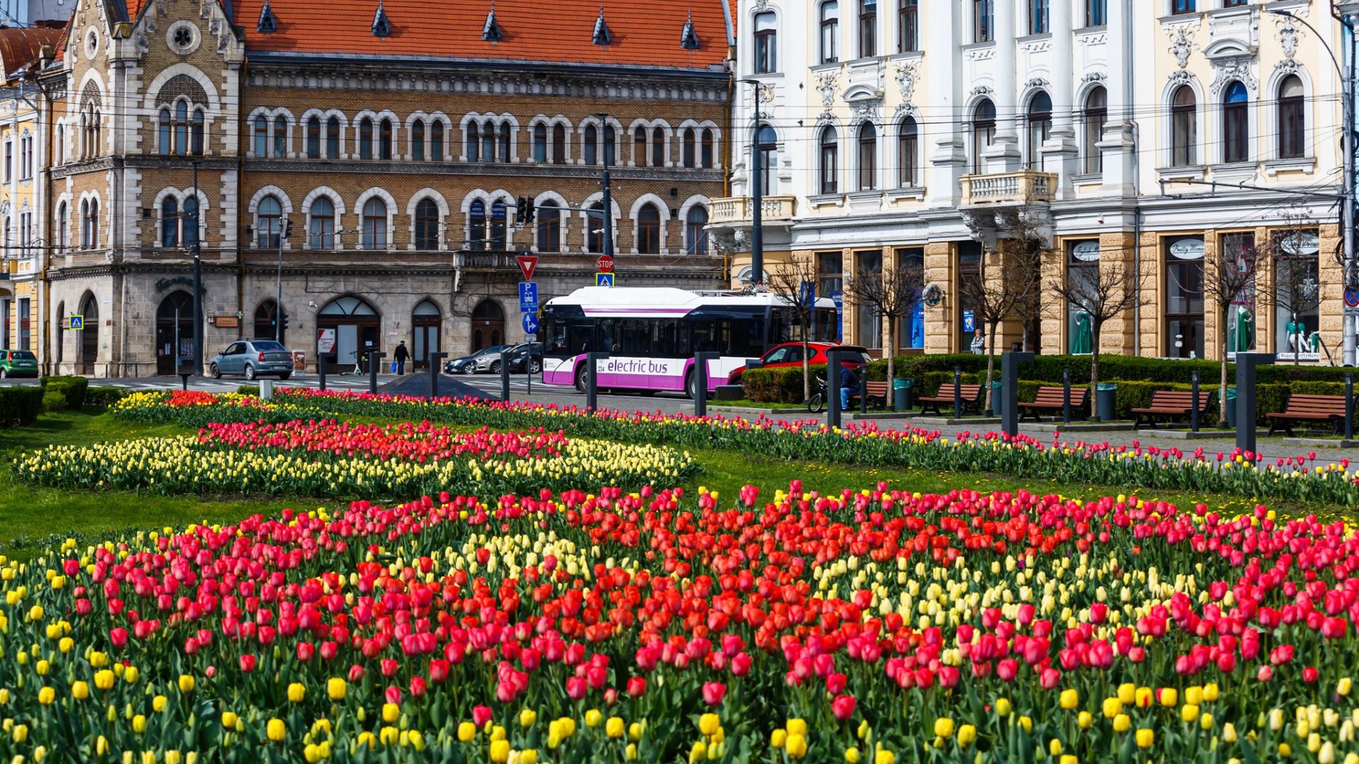 Transport special de 1 Mai la Cluj Program schimbat cursee catree Cheile Turzii si autobuze suplimentare pentru meciul de pe Cluj Arena