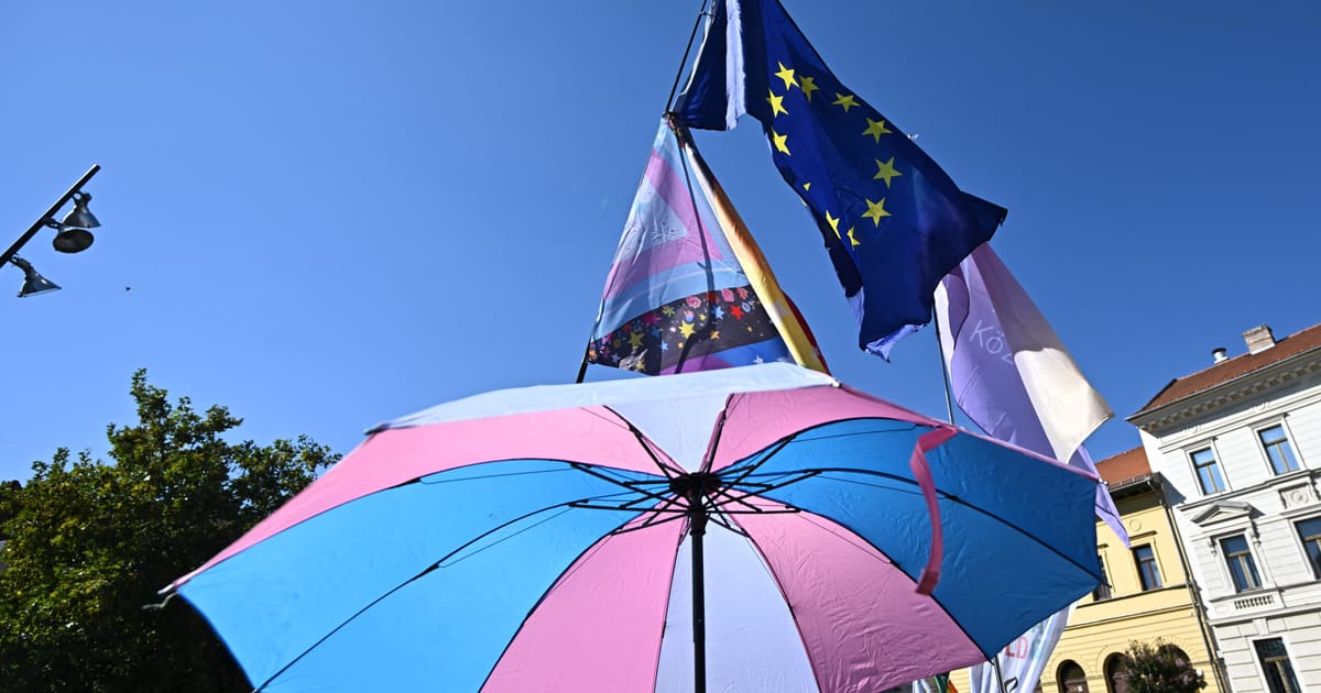 UE sustine ca interdictia terapiei de conversie LGBTQ ar trebui sa fie o decizie nationala nu una impusa de