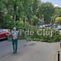Un copac a cazut peste o masina pe strada Clinicilor din Cluj pompierii intervin pentru a debloca drumul