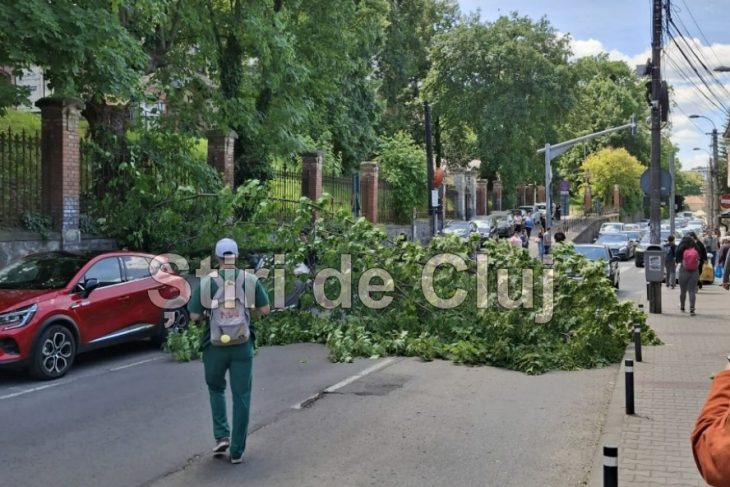 Un copac a cazut peste o masina pe strada Clinicilor din Cluj pompierii intervin pentru a debloca drumul