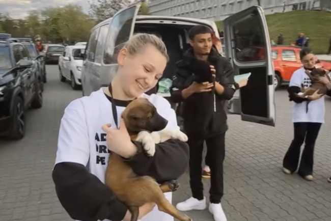 VIDEO Jucatorii de la U Cluj au patruns pe terren alaturi de caini de la adapost Primaria demareaza o campanie inedita de adoptie in Cluj Napoca