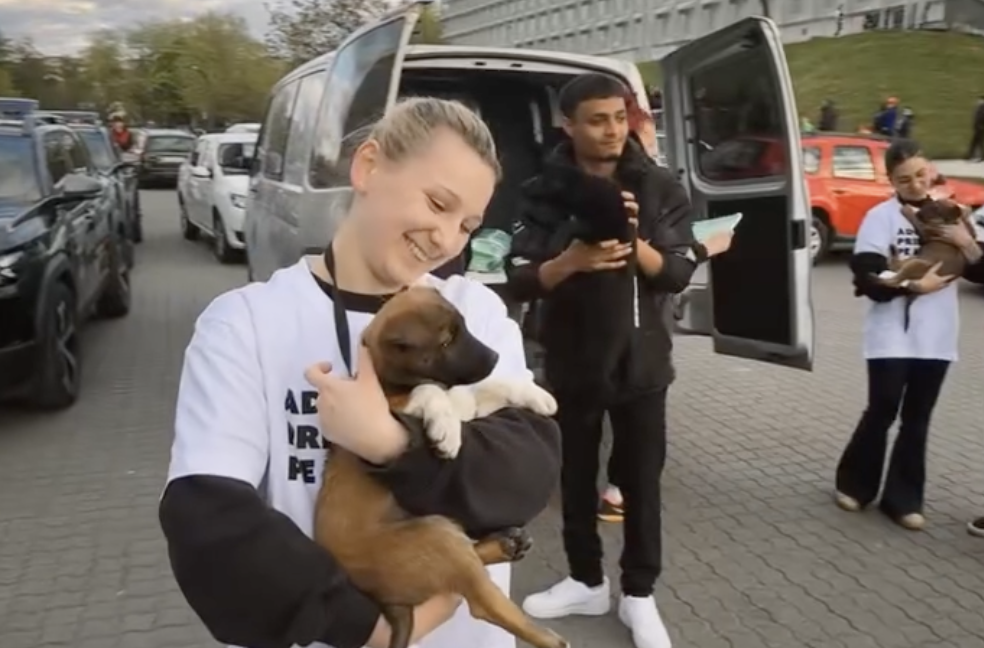 VIDEO Jucatorii de la U Cluj au patruns pe terren alaturi de caini de la adapost Primaria demareaza o campanie inedita de adoptie in Cluj Napoca