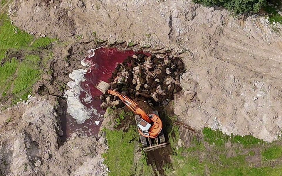 colaps ecologic in lesbos 32000 de animale ingropate fara siguranta