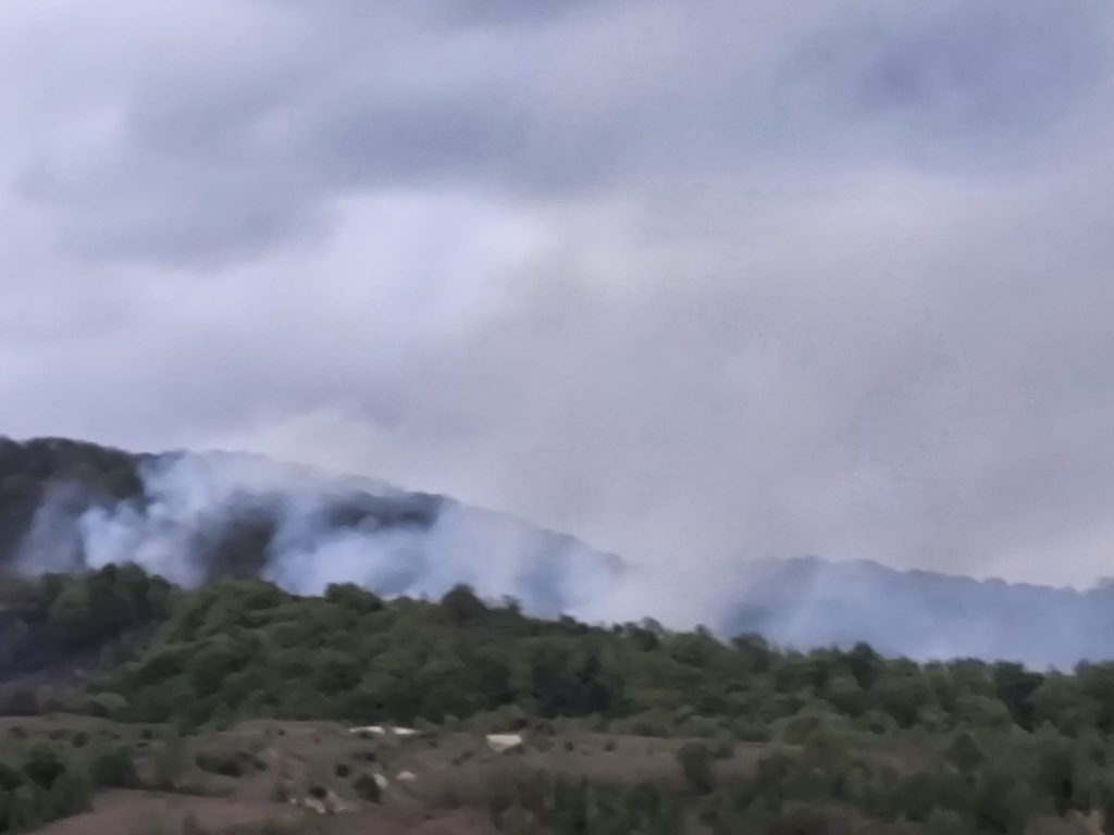 incendiu de vegetatie in caras severin un elicopter black hawk a fost trimis sa stinga focarele din slatina timis