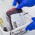 pacient decedat dupa o transfuzie cu sange incompatibil asistent ati trimis in judecata pentru omor din