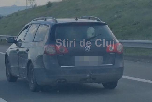 video cat de mare e gradina ta doi vitei de companie plimbati cu masina pe a10 intre turda si aiud cum mirosea oare daca micutii au avut o urgenta