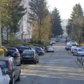Alarm ciudat pentru clujeni Un cocos le perturba somnul in fiecare dimineata de la ora 5 iar vecinul refuza orice discutie