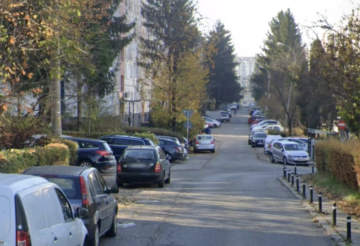 Alarm ciudat pentru clujeni Un cocos le perturba somnul in fiecare dimineata de la ora 5 iar vecinul refuza orice discutie