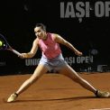 Gabriela Ruse a fost invinsa in semnifinale la turneul de la Bad Homburg
