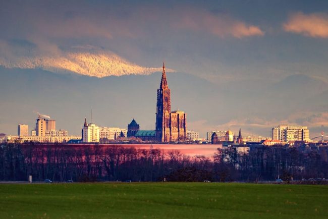 Hotelul insalubru din Strasbourg il determin pe un eurodeputat s solicite asisten medical
