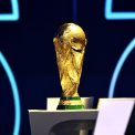 Interzisi la Campionatul Mondial Peste 10000 de argentinieni nu au voie sa intre in SUA