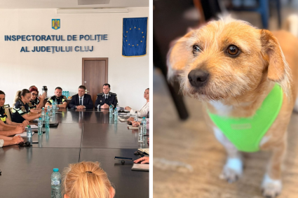 Poliția din Cluj ia măsuri împotriva câinilor: întâlnire cu ONG-uri și veterinari, urmează acțiuni pe teren împotriva proprietarilor care încalcă legea.