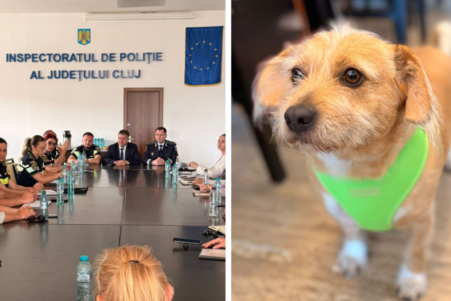 PolitiiadindClujiamasuripentrucainiiintalnirecuONGuriiveterinariurmeazaactiunipenterempentruproprietarii careincalcalegea