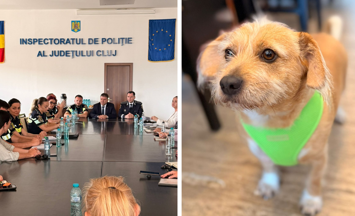 PolitiiadindClujiamasuripentrucainiiintalnirecuONGuriiveterinariurmeazaactiunipenterempentruproprietarii careincalcalegea
