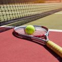 Poveste emotionanta la Roland Garros Semifinalistul surpriza isi impartaseste experienta despre fratele sau cu autism