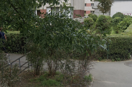 Strada din Cluj, transformată într-o groapă de gunoi: Deșeurile revin după fiecare curățenie, iar locuitorii sunt sătui!