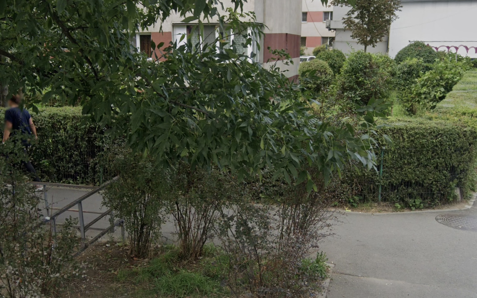 Strada din Cluj transformat ntr o groap de gunoi Deseurile revin dupa fiecare curatenie iar locuitorii sunt satui