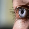 Un nou tip de software AI ar putea identifica persoanele expuse riscului de anemie prin examinarea ochilor