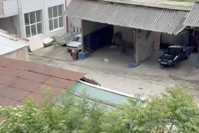 VIDEO Scene emotionante dintr o curte din Cluj Un caine latra ore in sir inchis intr un garaj A plans de dimineata pana seara