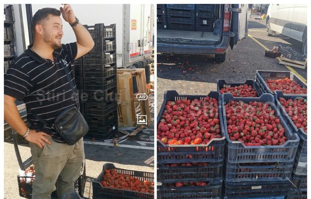 VIDEO Unde gasesti capshuni din Satu Mare la Cluj la cel mai bun pret 9 lei kg Se apropie sfarsitul sezonului nu rata ultimele capshuni proaspete
