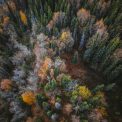 Vacante inedite dincolo de traseele clasice De la Alaska la Tara de Foc Eturia lanseaza o noua serie de circuite de aventura in colaborare cu exploratorul Radu Paltineanu