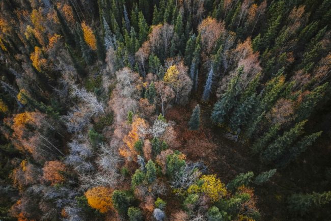Vacante inedite dincolo de traseele clasice De la Alaska la Tara de Foc Eturia lanseaza o noua serie de circuite de aventura in colaborare cu exploratorul Radu Paltineanu