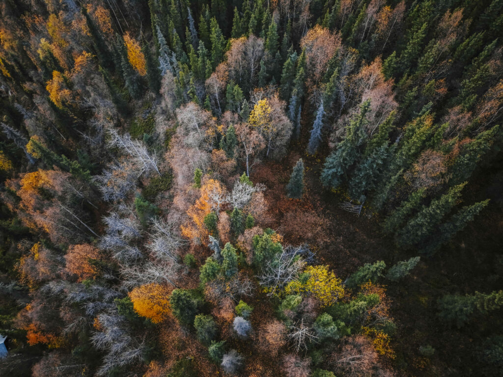 Vacante inedite dincolo de traseele clasice De la Alaska la Tara de Foc Eturia lanseaza o noua serie de circuite de aventura in colaborare cu exploratorul Radu Paltineanu