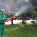 Vesti bune pentru locuitorii din Apahida Primaria va realiza stropiri impotriva insectelor timp de trei nopti la rand in Dezmir Sannicoara si alte sase localitati
