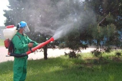 Vești bune pentru locuitorii din Apahida: Primăria va realiza stropiri împotriva insectelor timp de trei nopți la rând în Dezmir, Sânnicoara și alte șase localități.