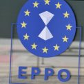 schimbare de situatie intr un dosar de 1 5 milioane de euro din fonduri ue trei martori retinuti pentru