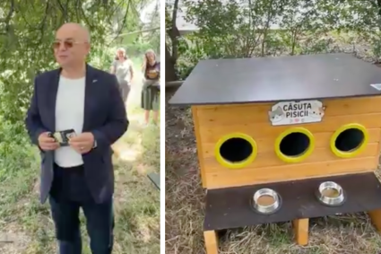 video primele adaposturi pentru pisicile fara stapan din cluj instaltate de boc primaria ofera gratuit 80 de casute asociatiilor de proprietari
