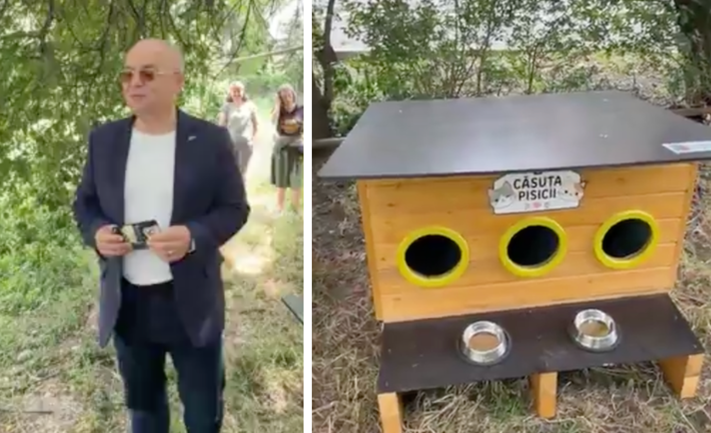 video primele adaposturi pentru pisicile fara stapan din cluj instaltate de boc primaria ofera gratuit 80 de casute asociatiilor de proprietari