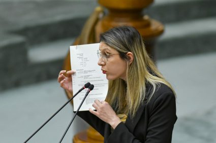 Arbori dezrădăcinați cu lanțuri pentru a fi tăiați „legal”. Diana Buzoianu anunță șapte sesizări penale.