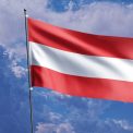 Copiii romanilor din Austria au posibilitatea de a invata gratuit limba materna in scolile publice Ce pasi trebuie sa urmeze parintii