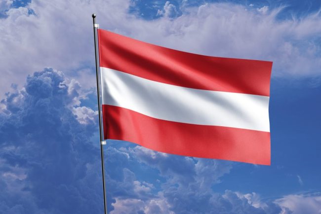 Copiii romanilor din Austria au posibilitatea de a invata gratuit limba materna in scolile publice Ce pasi trebuie sa urmeze parintii